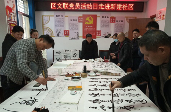 颍泉区文联党支部开展送文化进社区活动
